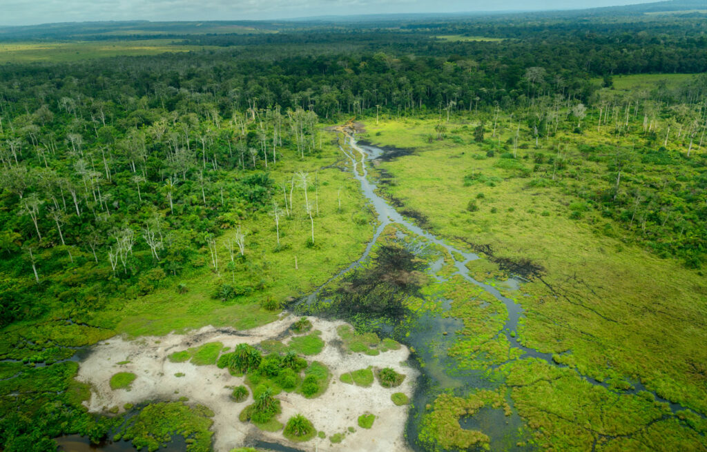 bassin du Congo, deuxième forêt tropicale mondiale