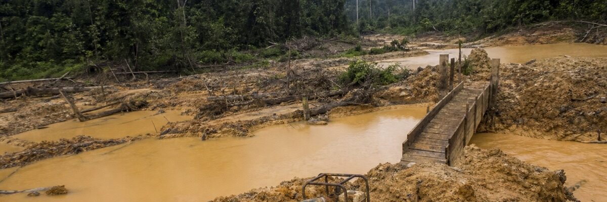 Site d'orpaillage clandestin abandonne en foret equatoriale, riviere boueuse et fosses inondees