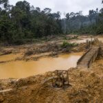 Site d'orpaillage clandestin abandonne en foret equatoriale, riviere boueuse et fosses inondees