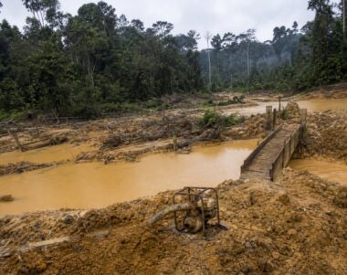 Site d'orpaillage clandestin abandonne en foret equatoriale, riviere boueuse et fosses inondees