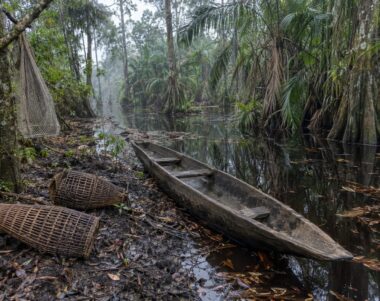 Pirogue en bois et nasses en rotin au bord d'un chenal d'eau noire dans une forêt marécageuse de tourbières inondée